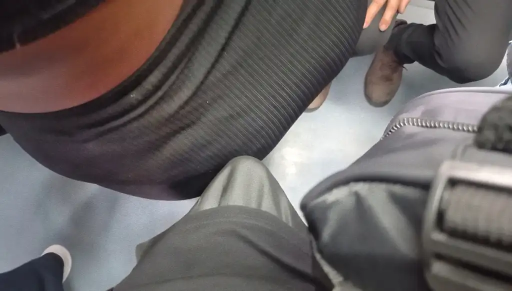 Big dick touching ass Brazilian hot brunette in train